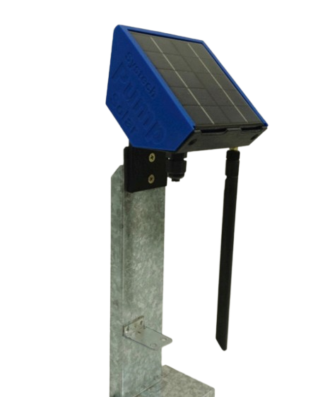 P-T1